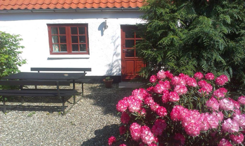Vranum Guesthouse Выборг Экстерьер фото